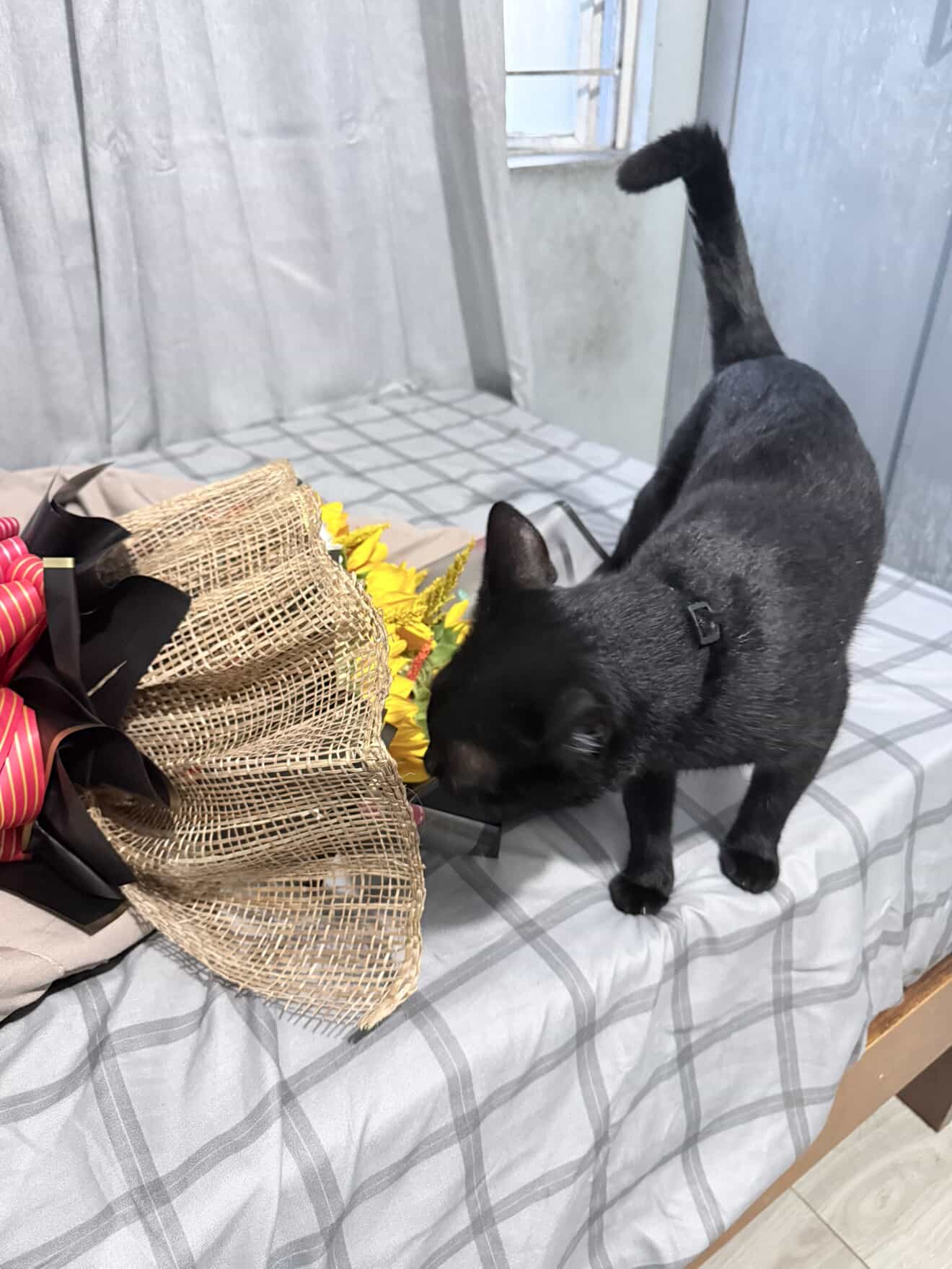 Close up of the flowers